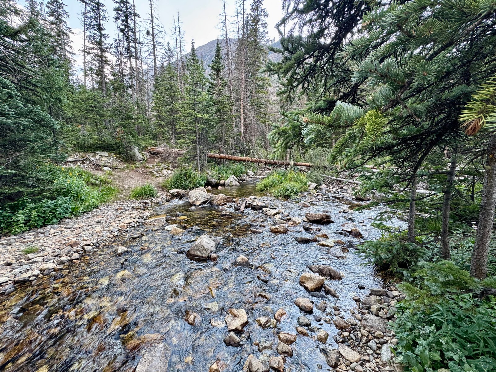 Huerfano creek crossing