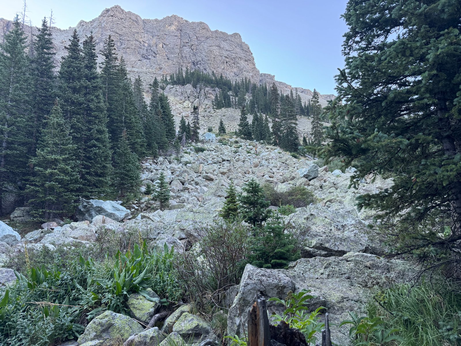 Rock field by Lindsey trail