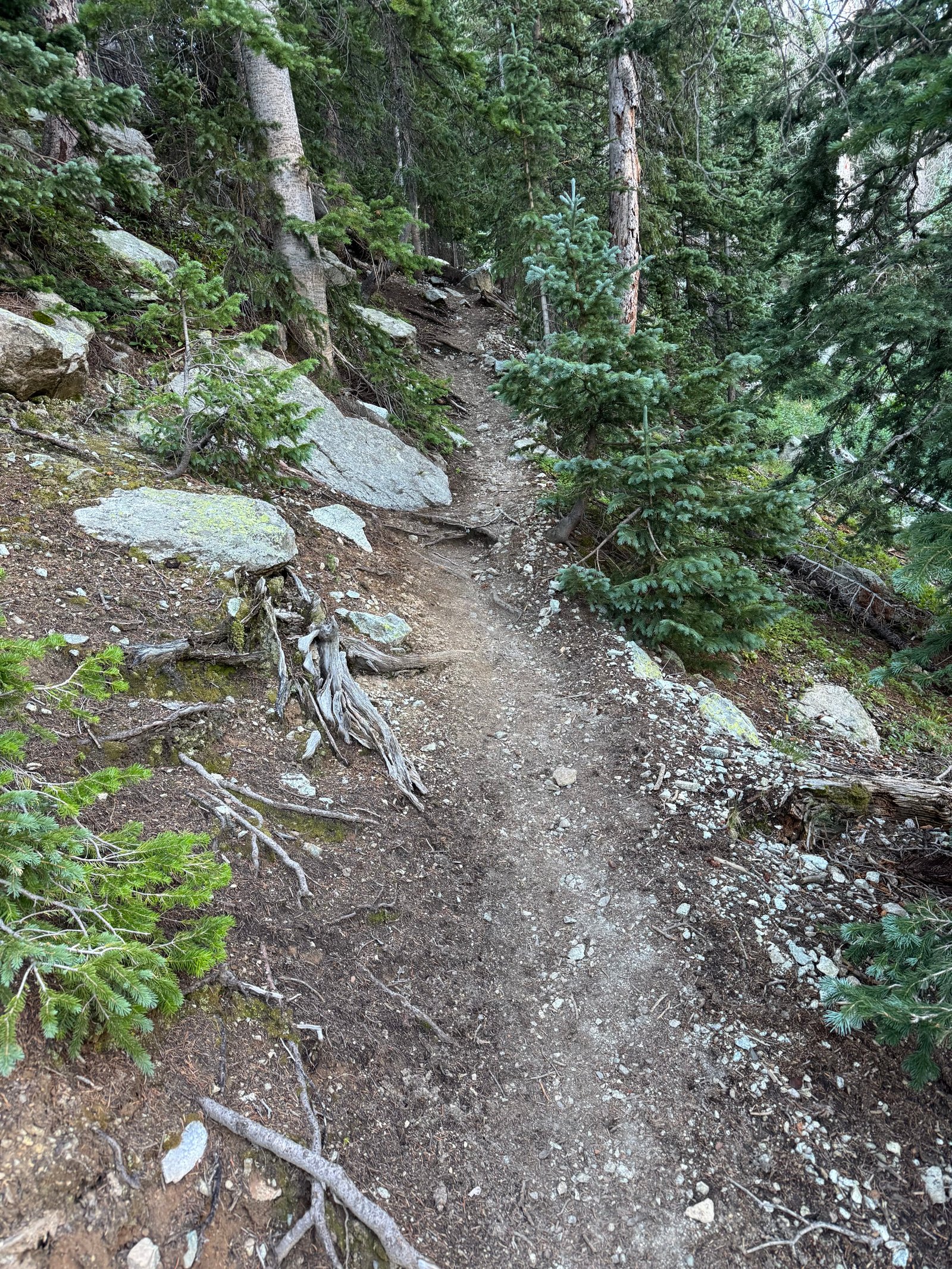 Lindsey trail 2