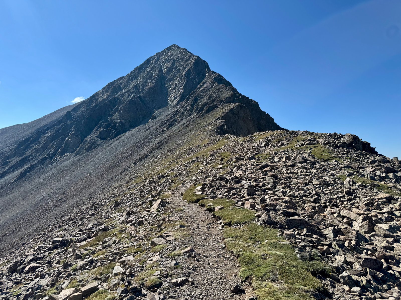 Lindsey ridge from saddle