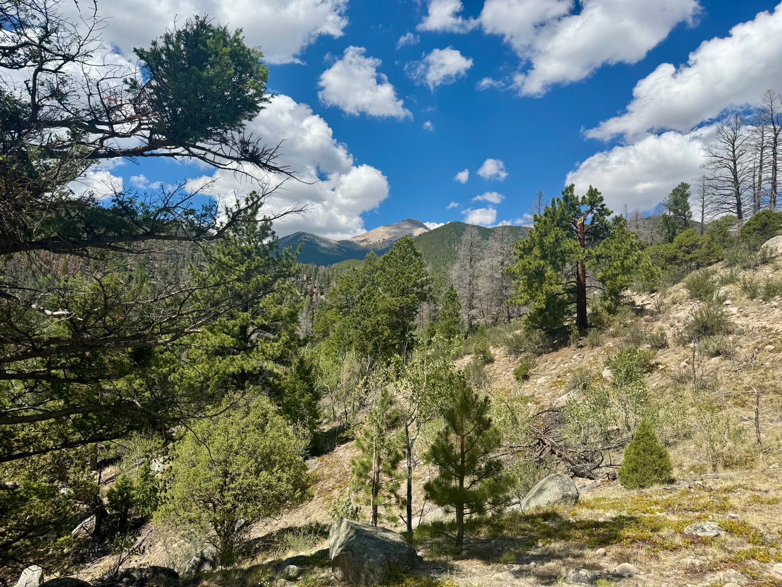 Antero from trail