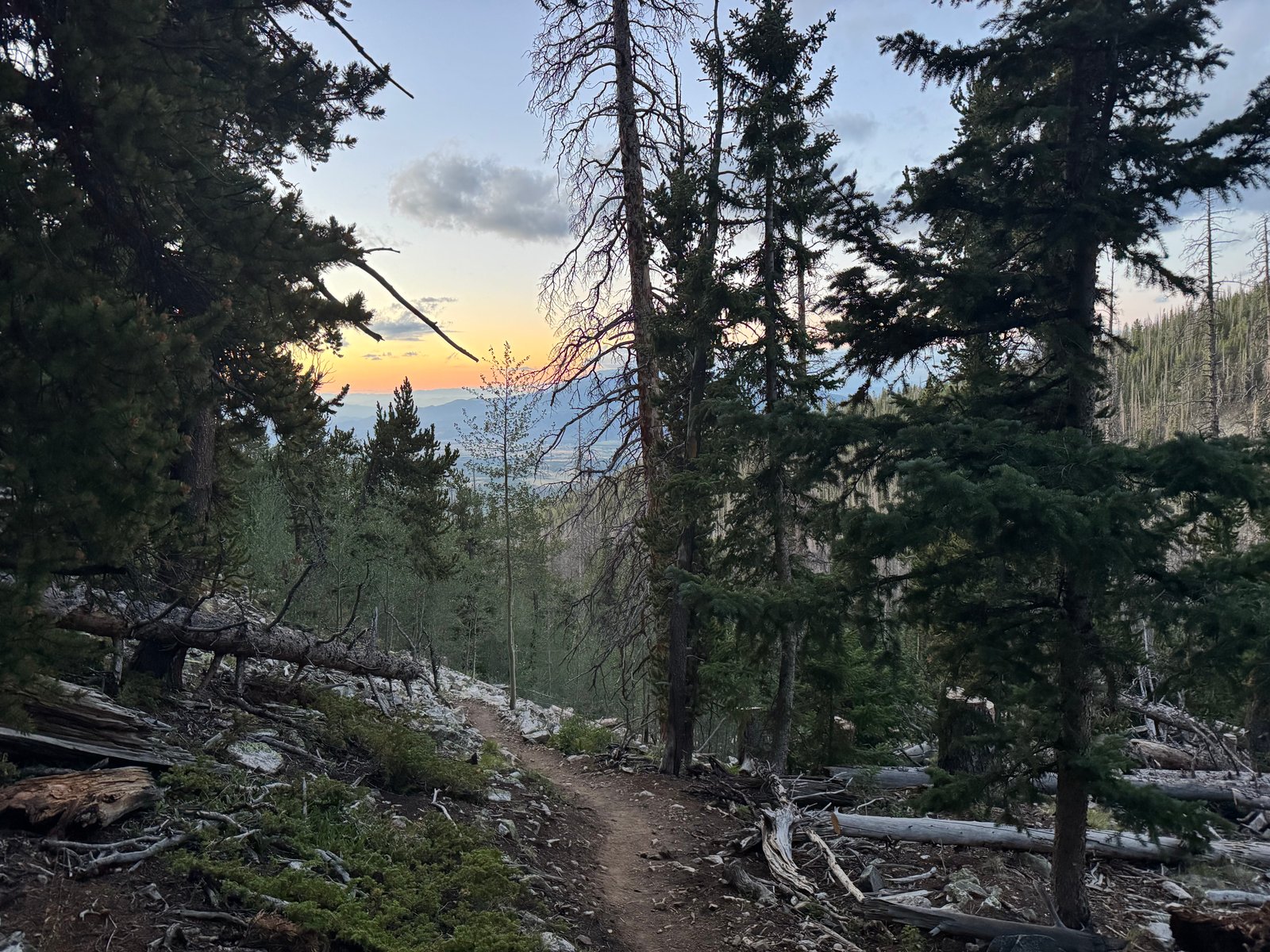 Shavano trail sunrise 1