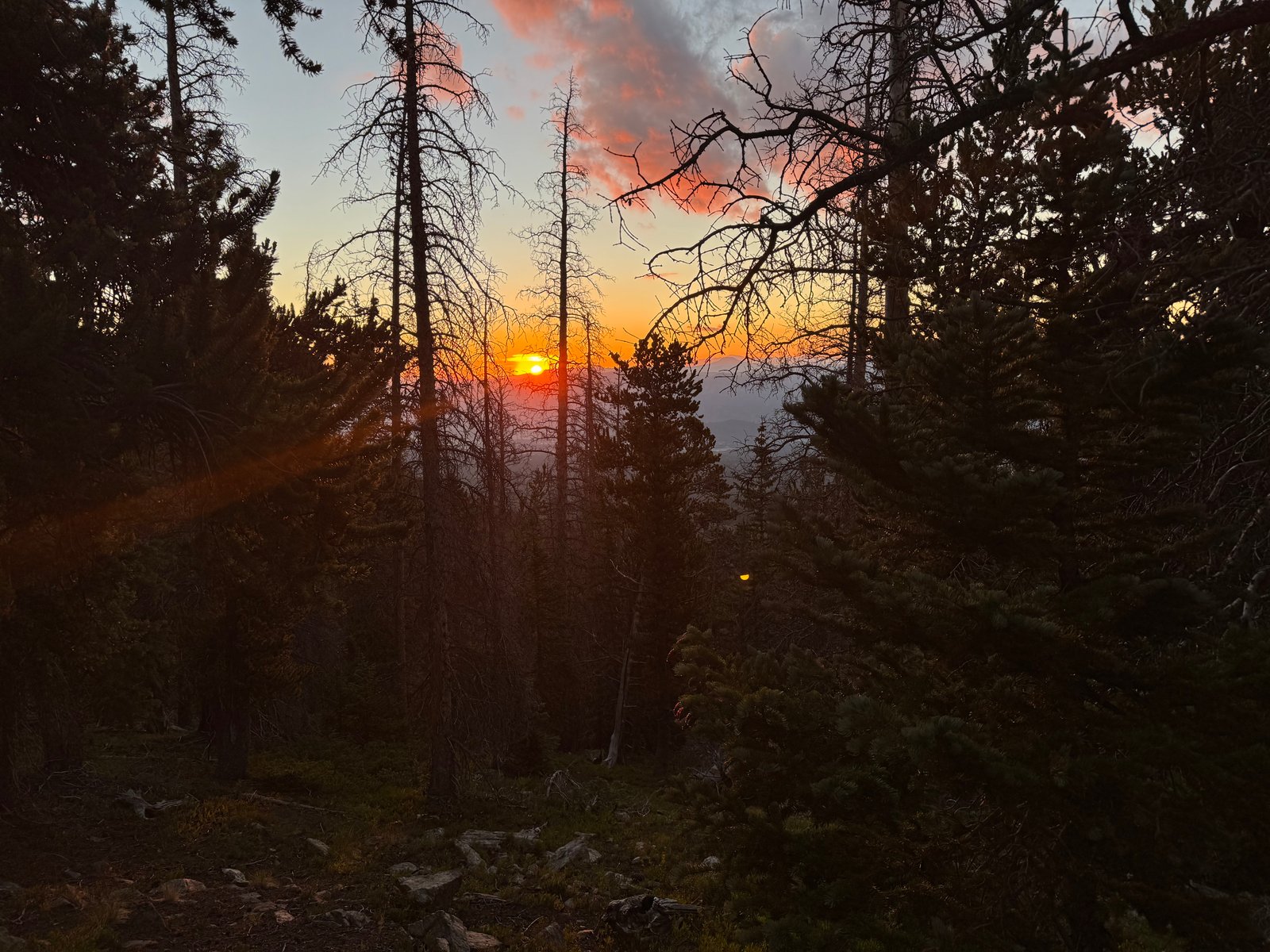 Shavano trail sunrise 2