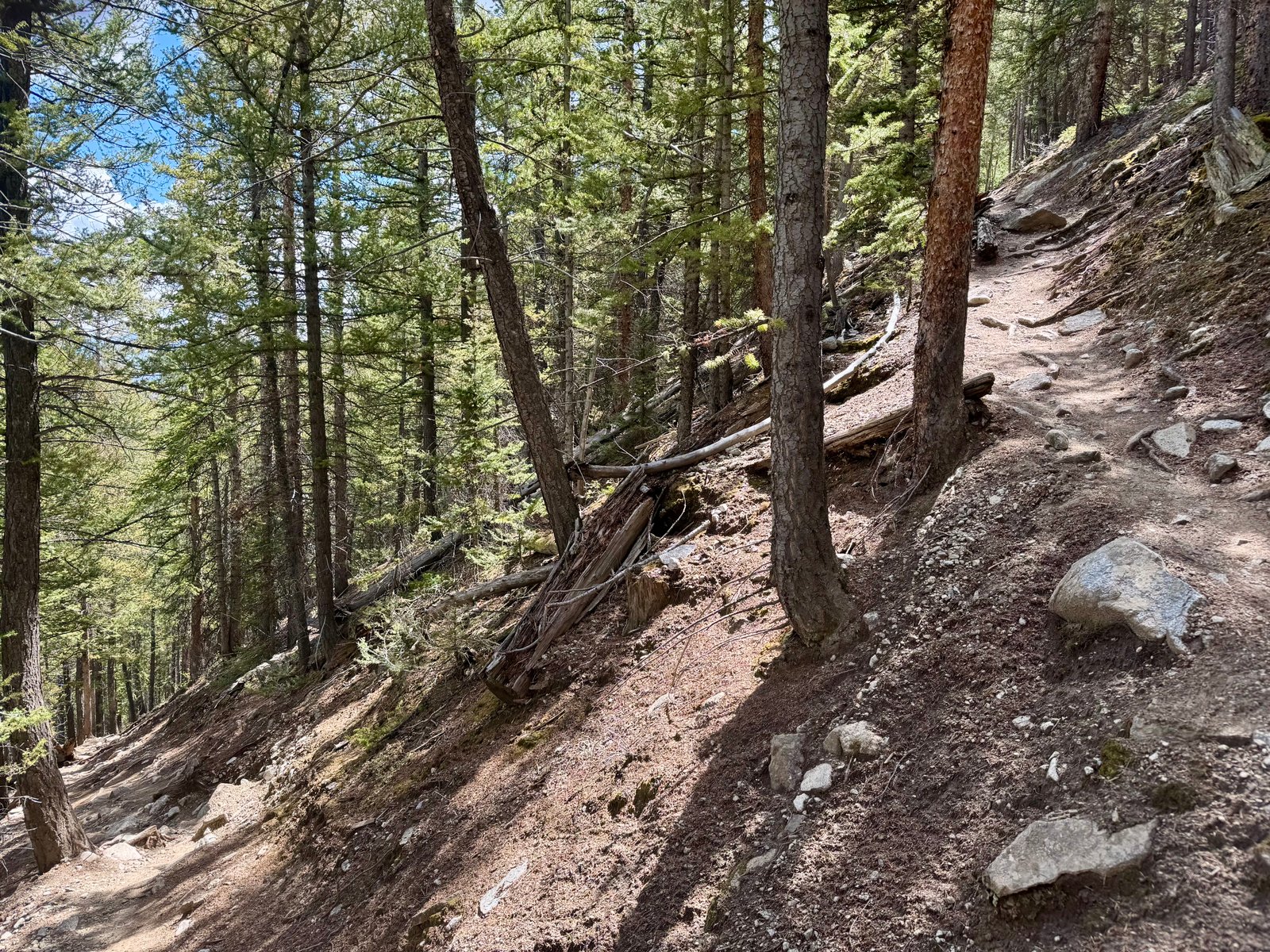 Missouri trail switchbacks